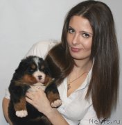 Превью фото № 131286