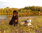 Превью фото № 131298