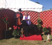 Превью фото № 131352