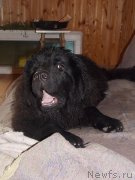 Превью фото № 131407