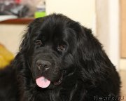 Превью фото № 131416