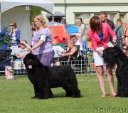 Превью фото № 131471