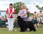 Превью фото № 131475