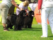 Превью фото № 131478