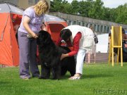 Превью фото № 131481