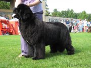 Превью фото № 131483