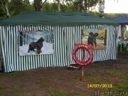 Превью фото № 131508