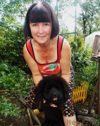 Превью фото № 131527