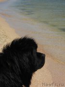 Превью фото № 131536