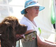 Превью фото № 131546