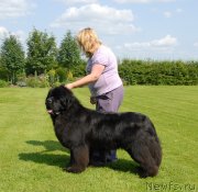 Превью фото № 131555