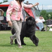 Превью фото № 131581