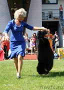 Превью фото № 131600