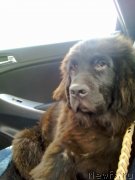 Превью фото № 131606