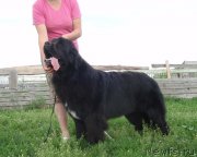 Превью фото № 131610