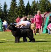 Превью фото № 131675