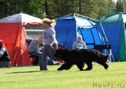 Превью фото № 131682