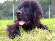 Превью фото № 131691