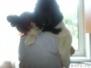 Превью фото № 131704