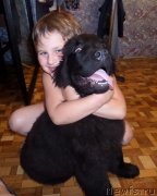 Превью фото № 131735