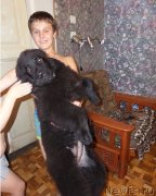 Превью фото № 131736