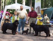 Превью фото № 131739