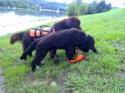 Превью фото № 131746