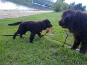 Превью фото № 131747