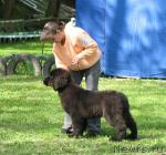 Превью фото № 13177