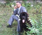 Превью фото № 131790