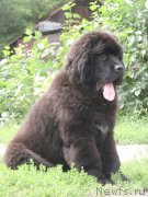 Превью фото № 131807