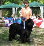 Превью фото № 13181