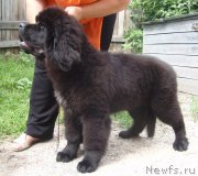 Превью фото № 131812