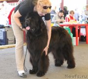 Превью фото № 131827