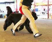 Превью фото № 131831