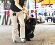 Превью фото № 131833