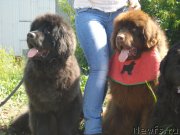 Превью фото № 131836