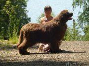 Превью фото № 131839