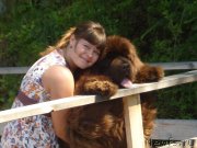 Превью фото № 131840