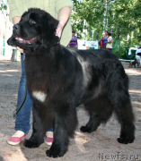 Превью фото № 131889