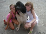 Превью фото № 131908