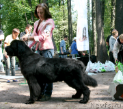 Превью фото № 131909