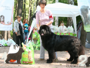 Превью фото № 131919