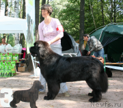 Превью фото № 131920