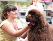 Превью фото № 131926