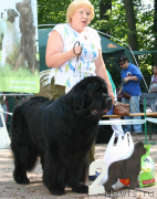 Превью фото № 131934