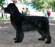 Превью фото № 131943