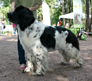 Превью фото № 131945