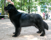 Превью фото № 131950