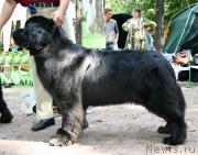 Превью фото № 131951